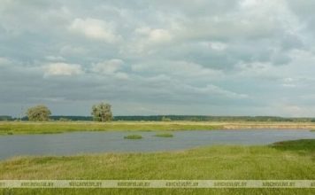 Прогноз погоды в Кричеве на ближайшие дни Кричев | Новости Кричева и Кричевского района