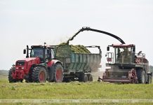 В Кричевском районе продолжается заготовка кормов