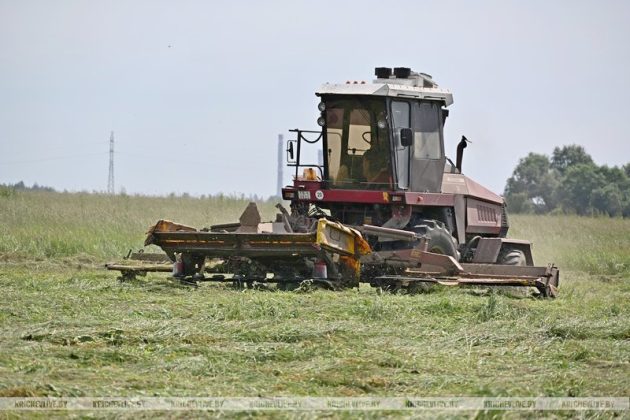 В Кричевском районе продолжается заготовка кормов