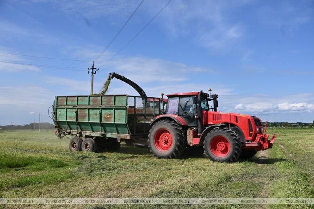 В Кричевском районе скошено трав первым укосом более трети от задания