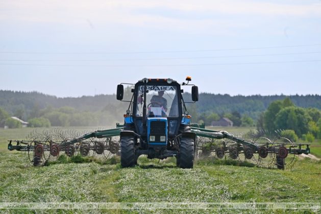В Кричевском районе скошено трав первым укосом более трети от задания