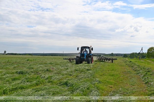 В Кричевском районе скошено трав первым укосом более трети от задания