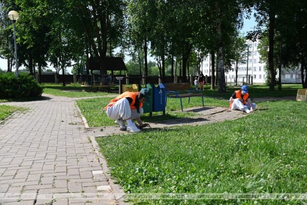 Молодежь студенческих отрядов Кричева делает город краше