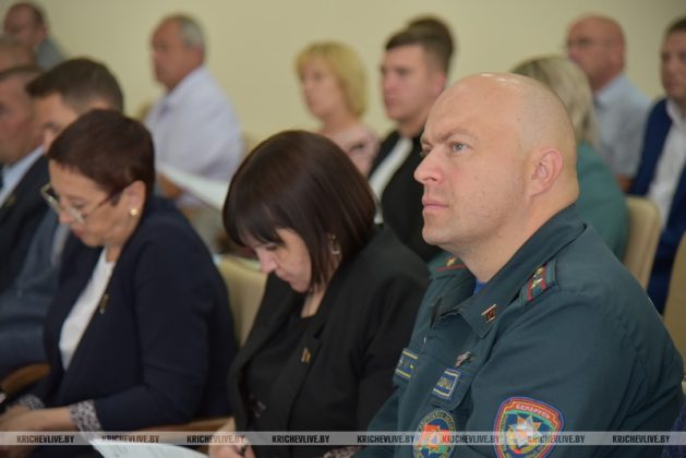 Кричевские депутаты оценили, как реализуется в районе Декрет Президента №3