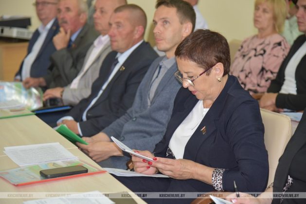 Кричевские депутаты оценили, как реализуется в районе Декрет Президента №3