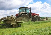 Первый укос трав проведен на 50% запланированных площадей в Беларуси