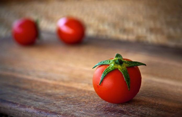 ha11ok-tomato-1205699