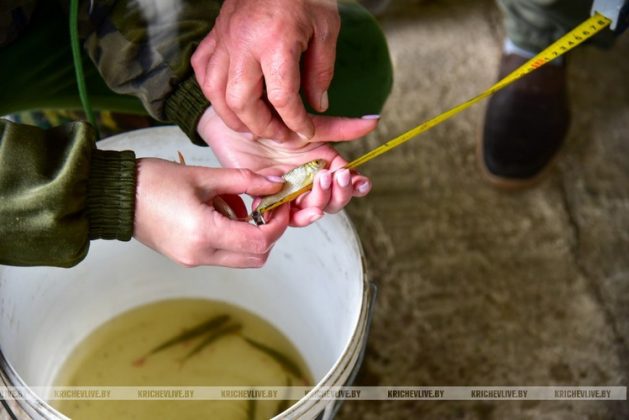 «FishРай по-кричевски»: в Ботвиновке назвали лучших рыболовов