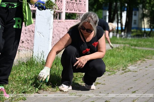 В Кричеве прошел субботник