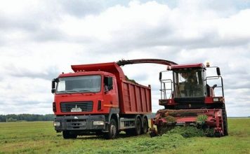 На Кричевщине продолжается заготовка кормов Кричев | Новости Кричева и Кричевского района