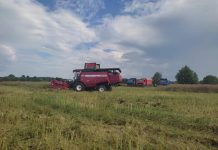 В КСУП «Малятичи-АГРО» началась уборка озимого рапса В КСУП «Малятичи-АГРО» началась уборка озимого рапса