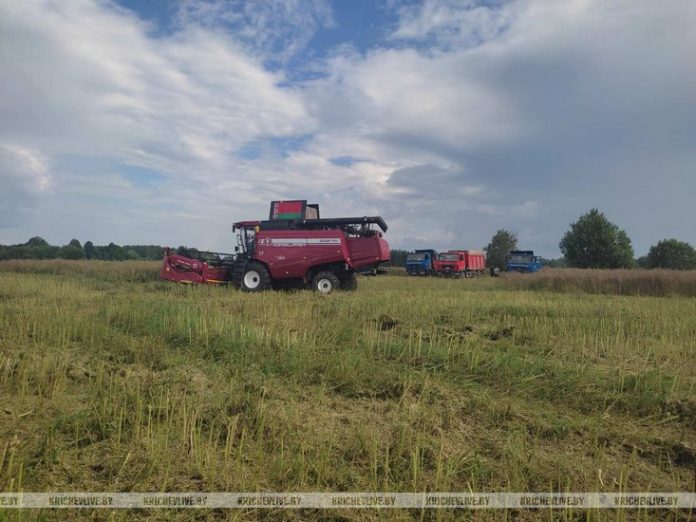 В КСУП «Малятичи-АГРО» началась уборка озимого рапса В КСУП «Малятичи-АГРО» началась уборка озимого рапса
