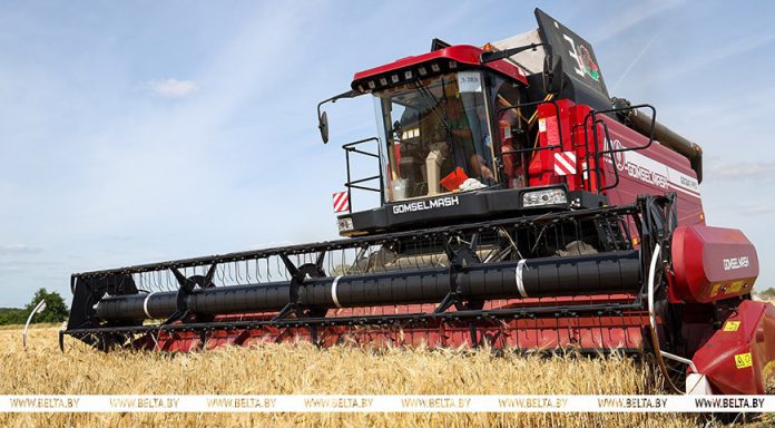 Белорусские аграрии убрали 10% площадей зерновых и зернобобовых культур Белорусские аграрии убрали 10% площадей зерновых и зернобобовых культур