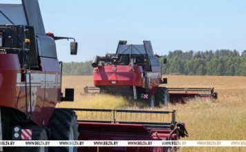 Аграрии Беларуси намолотили первый миллион тонн зерна https://belta.by/economics/view/agrarii-belarusi-namolotili-pervyj-million-tonn-zerna-791857-2026/