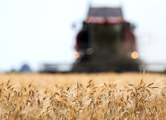 Лукашенко поставил задачу провести качественную жатву и уберечь богатый урожай от непогоды