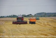 На Кричевщине полным ходом идет уборочная страда На Кричевщине полным ходом идет уборочная страда