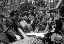 История 48-го Кричевского партизанского отряда История 48-го Кричевского партизанского отряда