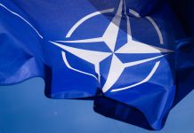 НАТО хочет создать систему наблюдения за восточными границами альянса — Bild