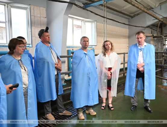 Кричевщина приняла участников областного семинара по животноводству