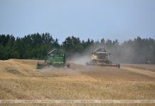 В Кричевском районе дан старт уборке озимого ячменя