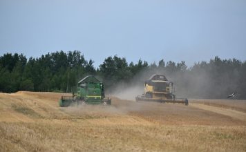 В Кричевском районе дан старт уборке озимого ячменя Кричев | Новости Кричева и Кричевского района