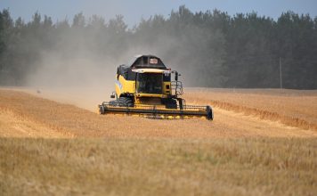 На Кричевщине сжаты первые гектары озимого ячменя На Кричевщине сжаты первые гектары озимого ячменя