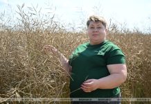 Кричевский агроном Ирина Косенкова о работе, команде и семье Кричевский агроном Ирина Косенкова о работе, команде и семье