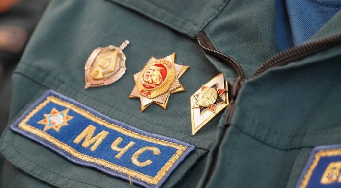 «Зеленый щит» на Кричевщине: спасатели подвели итоги профилактической акции «Зеленый щит» на Кричевщине: спасатели подвели итоги профилактической акции