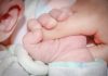 В Кричевском загсе рассказали, в каком возрасте кричевляне становятся родителями В Кричевском загсе рассказали, в каком возрасте кричевляне становятся родителями
