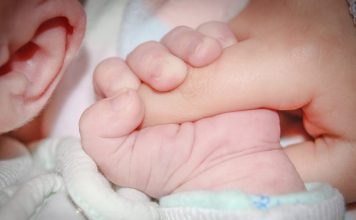 В Кричевском загсе рассказали, в каком возрасте кричевляне становятся родителями В Кричевском загсе рассказали, в каком возрасте кричевляне становятся родителями