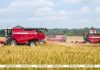 Лукашенко ставит задачу прирасти к рекордному урожаю прошлого года Лукашенко ставит задачу прирасти к рекордному урожаю прошлого года