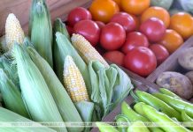 Не только огурцы и клубника. Что и по каким ценам закупает Белкоопсоюз у населения Беларуси Не только огурцы и клубника. Что и по каким ценам закупает Белкоопсоюз у населения Беларуси
