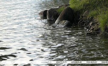 Как изменилась температура воды в реке Сож в Кричеве и других водоемах Беларуси, рассказали гидрологи Как изменилась температура воды в реке Сож в Кричеве и других водоемах Беларуси, рассказали гидрологи