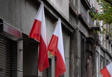 ПиС предложила депортировать из Польши официально не работающих украинцев призывного возраста ПиС предложила депортировать из Польши официально не работающих украинцев призывного возраста