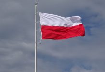 В Польше призвали лишить украинских беженцев социальных пособий В Польше призвали лишить украинских беженцев социальных пособий