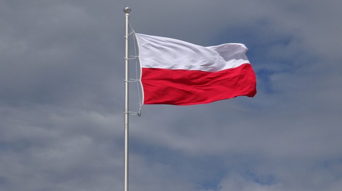В Польше призвали лишить украинских беженцев социальных пособий