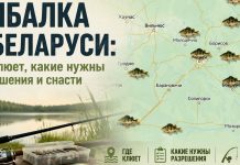 Рыбалка в Беларуси: где клюет, какие нужны разрешения и снасти Рыбалка в Беларуси: где клюет, какие нужны разрешения и снасти
