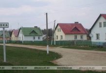 Что скрывают курганы Ботвиновки: археологические тайны Кричевщины Что скрывают курганы Ботвиновки: археологические тайны Кричевщины