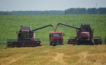 Уборочная кампания в Кричевском районе набирает обороты Уборочная кампания в Кричевском районе набирает обороты