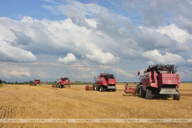В Беларуси намолотили 8,8 млн тонн зерна В Беларуси намолотили 8,8 млн тонн зерна