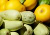 Чем полезны кабачки и кому их стоит есть с осторожностью Чем полезны кабачки и кому их стоит есть с осторожностью