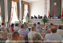 Оперативную обстановку с пожарами оценил Кричевский исполком Оперативную обстановку с пожарами оценил Кричевский исполком