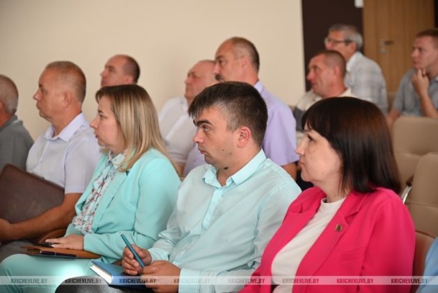 Оперативную обстановку с пожарами оценил Кричевский исполком