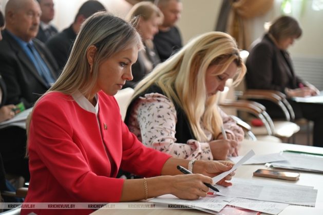 Кричевские депутаты дали оценку работе с пустующими домами