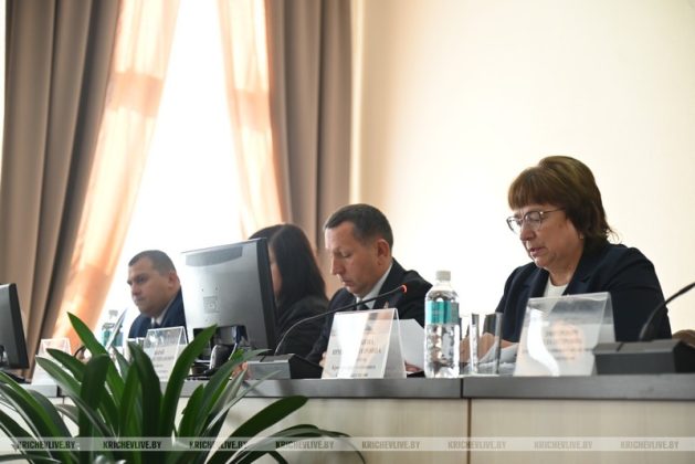 Кричевские депутаты дали оценку работе с пустующими домами