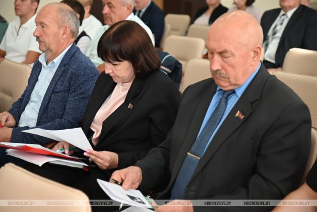 Кричевские депутаты дали оценку работе с пустующими домами