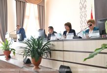 Кричевские депутаты дали оценку работе с пустующими домами