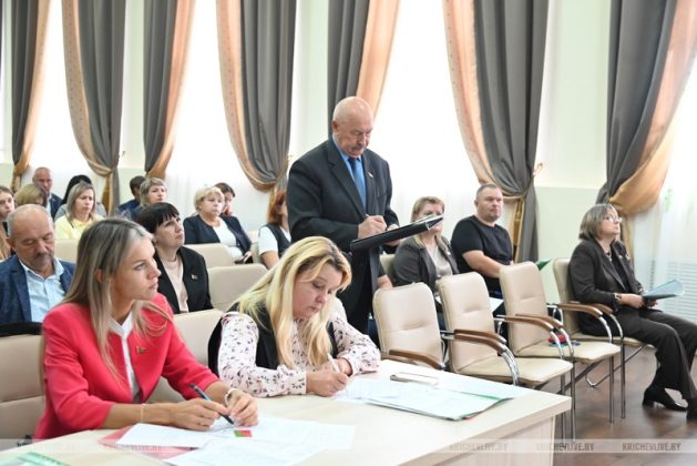 Кричевские депутаты дали оценку работе с пустующими домами