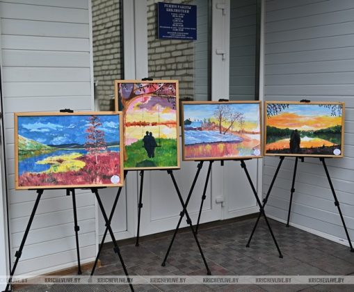В агрогородке Ботвиновка прошел День сельского Совета