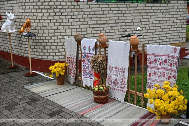 В агрогородке Ботвиновка прошел День сельского Совета